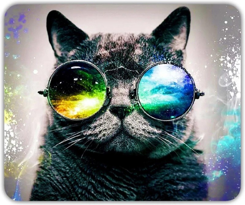 Create meme: cats in glasses, cat with cosmos glasses, cat with glasses