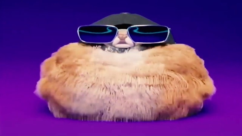 Create meme: A hamster with glasses, shaggy dog flexit, hamster with glasses meme