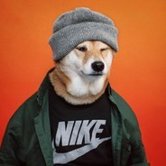 Create meme: shiba inu dog, dog in hat meme, cool dog