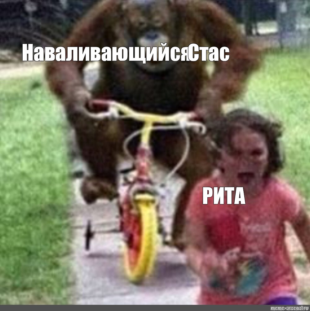 Обезьянка Мем