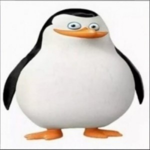 Create meme: the penguins of Madagascar Rico, Rico the penguins of Madagascar, the penguins of Madagascar