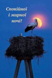 Создать мем: аист на крыше, доброй ночи, живая азбука аист свил гнездо на крыше