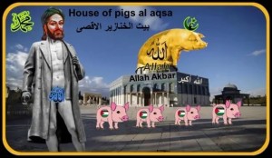 Create meme: the official pig, pig, girl