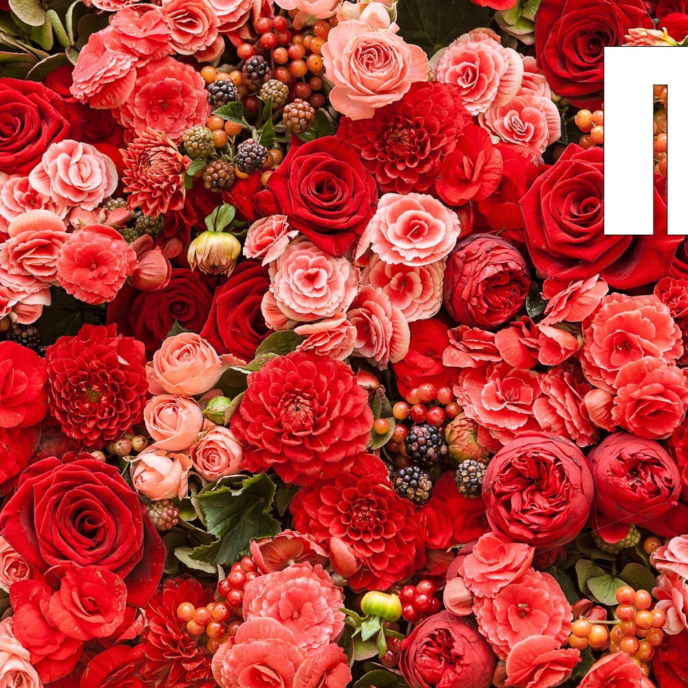 red roses tumblr background