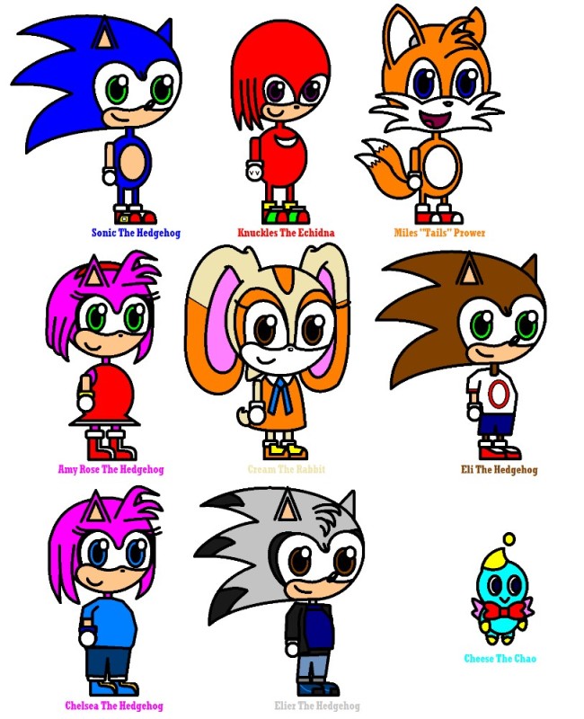 Create meme: Amy is a character from Sonic, Characters from Sonic names, sonic boom heroes