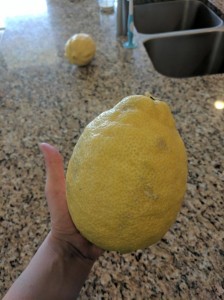 Create meme: lemon