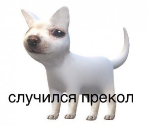 Create meme: stickers, occurred antirolling, Sulik dog