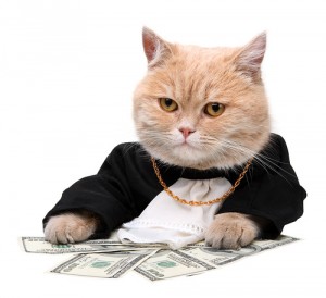 Create meme: thug cat, investor, cats