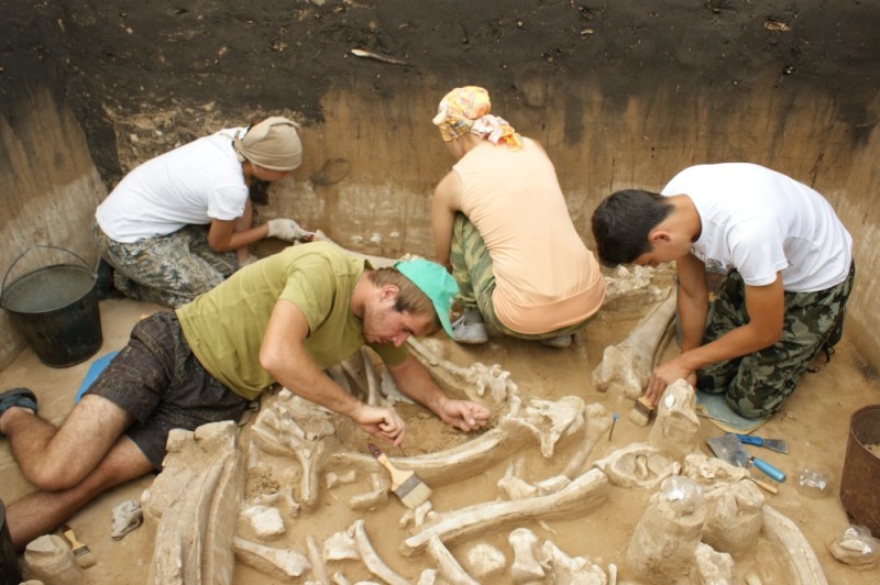 Create meme: archaeology, archaeologist , excavations of mammoth paleontologists