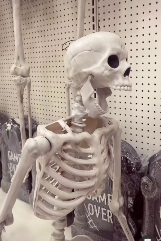 Create meme: skeletons aesthetics, bones skeleton, skeletons skeletons