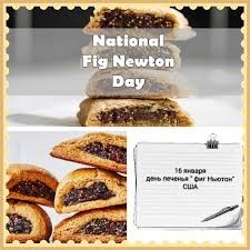 Create meme: fig newton cookies, cookie day, January 16 is Fig Newton Cookie Day