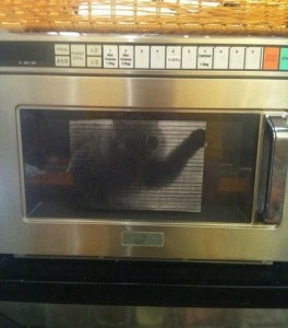 Create meme: Oven