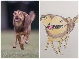 Создать мем: смешные лица животных, животные забавные, прикольные рисунки животных