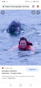 Create meme: swimming with dolphins, Dolphin funny, woman and Dolphin meme