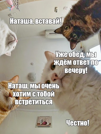 Наташа вставай