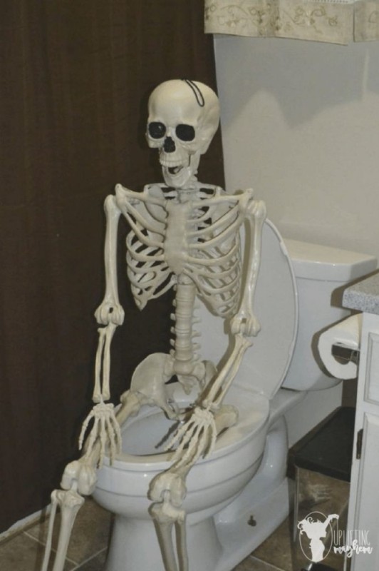 Create meme: the human skeleton, the skeleton is cool, skeleton on the toilet