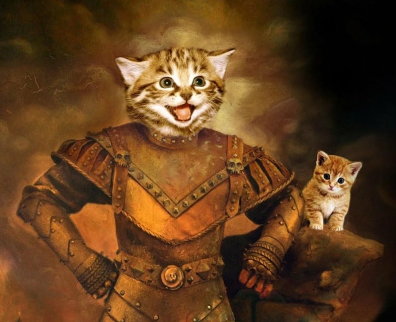 Создать мем: котик рыцарь, кошка, охотники за привидениями 2 виго