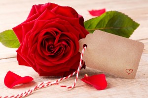 Create meme: romantic Gullar, red rose, love rose