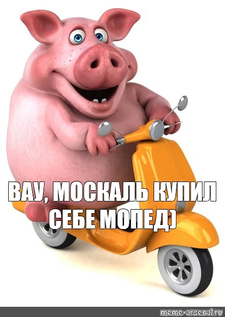 Свинья на байке