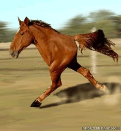 Create meme: two-legged horse