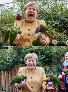Создать мем: канцлер германии с попугаями, меркель и птицы, ангела меркель и попугаи