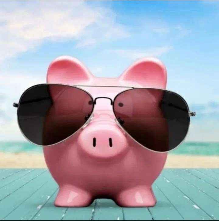 Create meme: piggy in sunglasses, the pig's head glasses, piggy with glasses