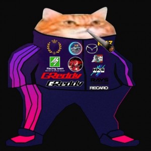 Create meme: the cat in the Adidas