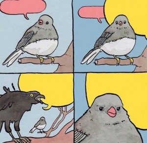 Create meme: two birds meme, annoyed bird meme, meme about a bird and a crow
