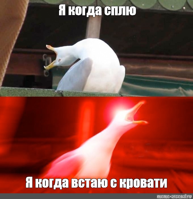 Я встаю с кровати