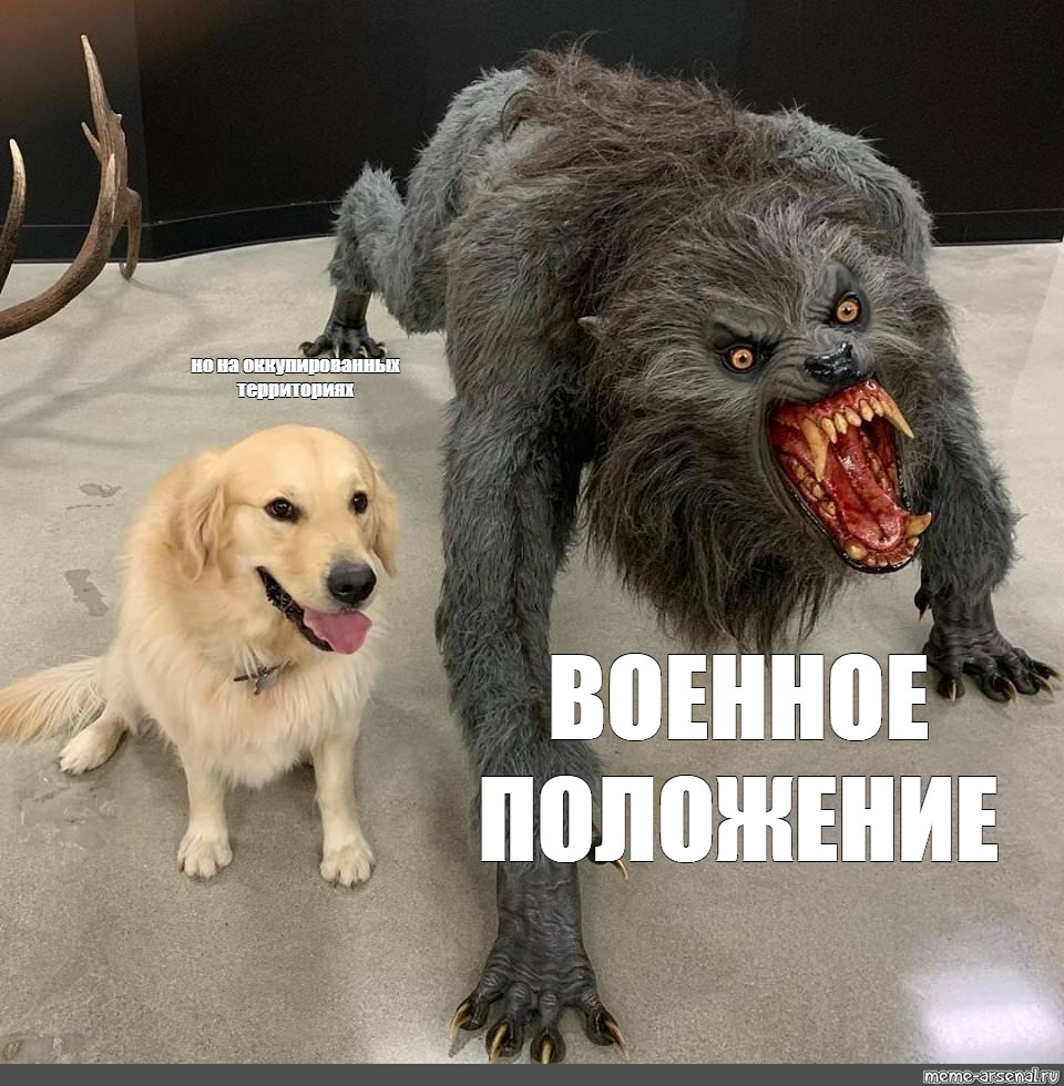 Говорящий валера. Мемы про оборотней. Оборотень Мем. Werewolf meme.