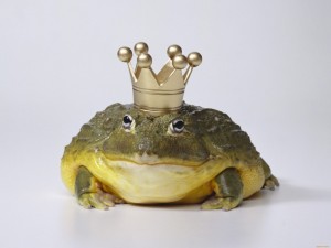 Create meme: the frog Princess, toad