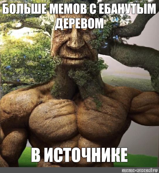 Дерево качок