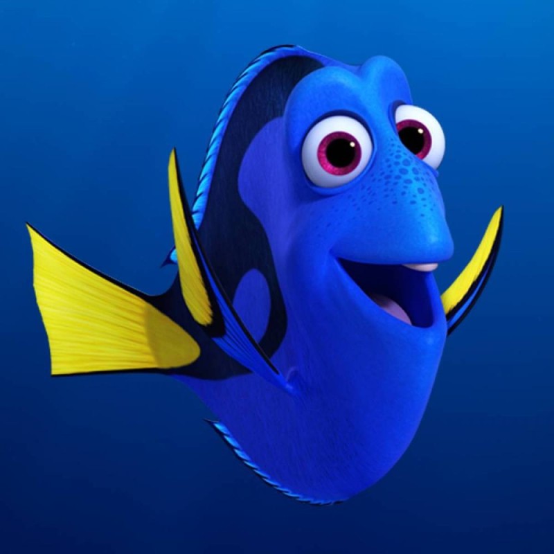 Create meme: fish Dori, Nemo and Dori fish, Dori the fish from Nemo