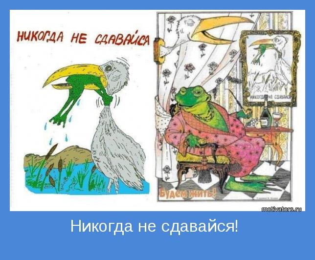 Create meme: poster never give up with heron and frog, never give up , frog and stork never give up