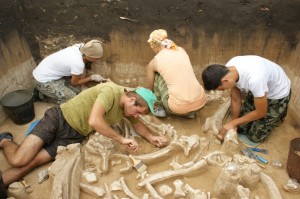 Create meme: archaeological finds, archaeological excavations, archaeologist