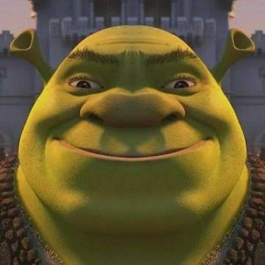 Create meme: Shrek characters, shrek faces, Shrek Shrekovich