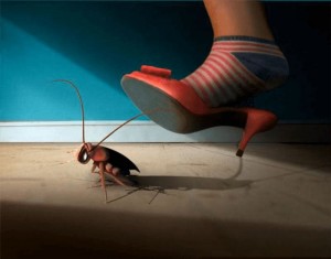 Create meme: the cockroach home, shoes, cockroach
