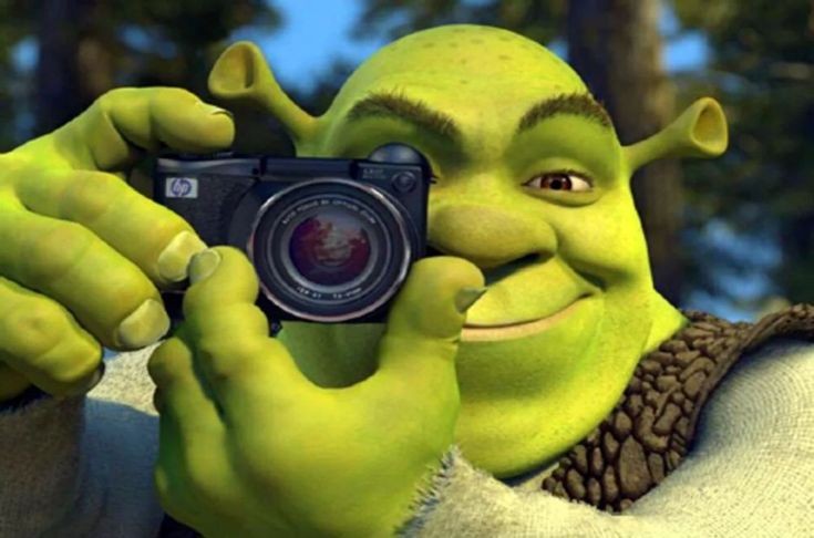 Create meme: Shrek with camera, Shrek with camera meme, Shrek, king