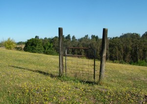 Create meme: land, land, fence