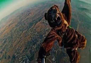 Создать мем: первый прыжок с парашютом, летающий медведь, кот парашютист