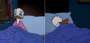 Create meme: when you abruptly Wake up in the night Donald duck meme, Donald duck meme, meme Donald duck sleeping