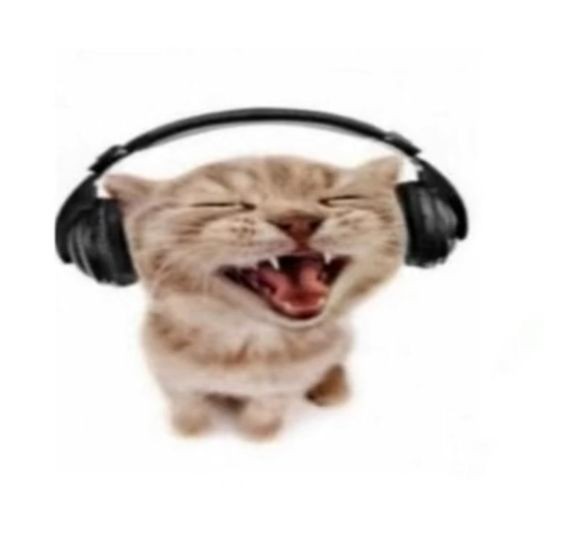 Создать мем: cat with headphones, котенок в наушниках, кот в наушниках мем