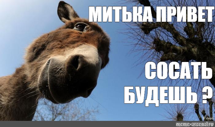 Привет отсосу