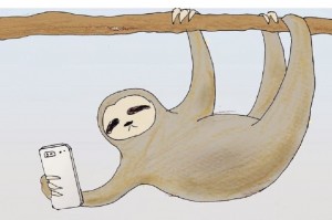 Create meme: funny pictures of sloths, sloth illustration, sloth animal