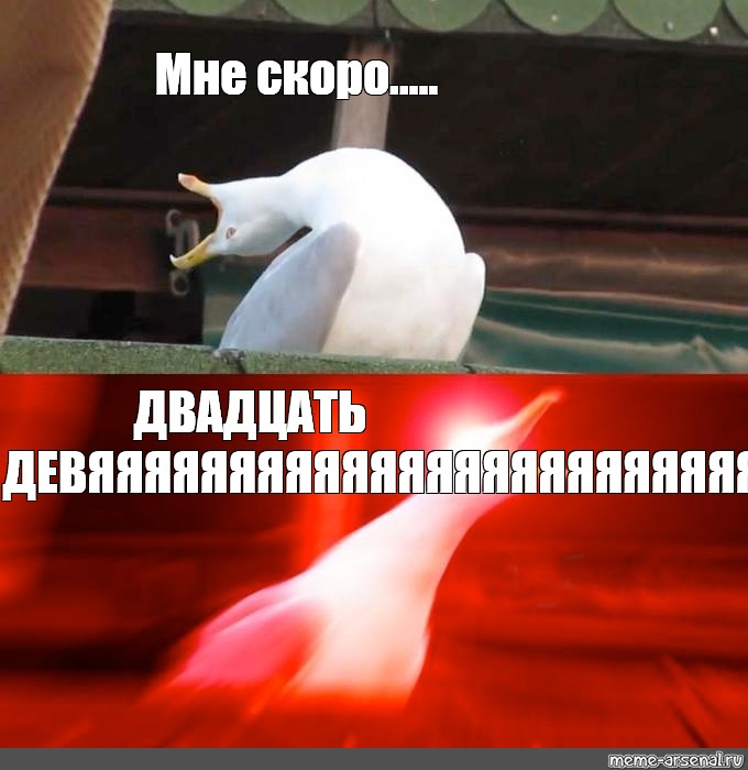 Скоро 20