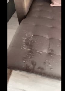 Create meme: leather sofa, dry cleaning of sofa
