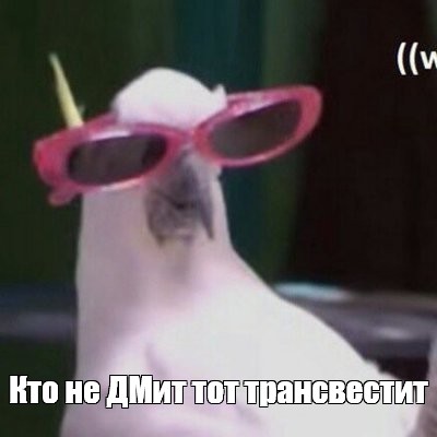 Создать мем: null