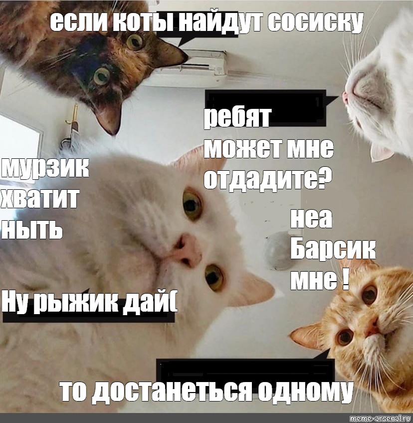 На картинке три подружки с ними кот мурзик кто хозяин кота