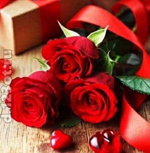 Создать мем: красные цветы, открытка, розы в подарок