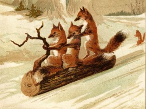 Create meme: red Fox, illustration of a Fox, Fox